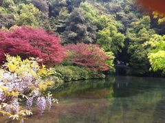 android_upload_pic-九溪烟树