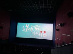 -博纳国际影城(龙华店)