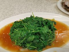 酒香草头-宏玲餐厅(四川南路店)