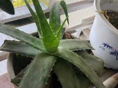 -一品天下(地铁站)