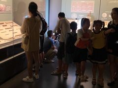 -广西壮族自治区博物馆