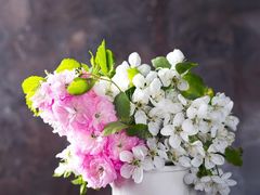 -大鸭梨烤鸭(枣园店)