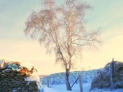 -乌兰布统草原