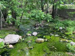 -玉渡山自然风景区