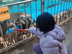 -泉城欧乐堡海洋极地世界