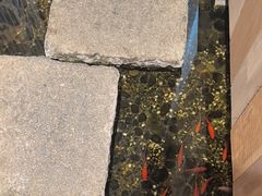 -邈墨茶馆(凤起路店)