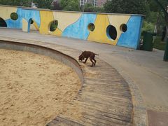 -四里河滨水生态公园