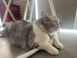 -我舞空间舞蹈培训