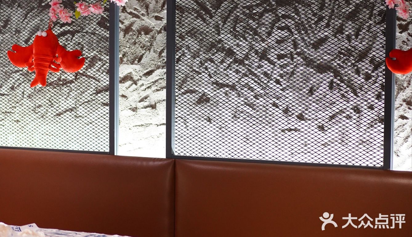 松哥第一铲回归啦😋小澳龙自由太爽了🦞