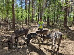 -北极村旅游风景区