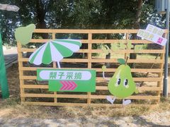 -江苏三台山国家森林公园
