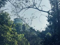 -南山植物园