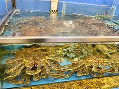 -大天然酒店(军民路店)