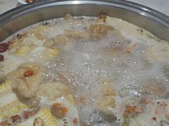 -港升鱼师傅·中山脆肉鲩