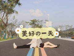 -羊山湖公园