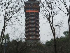 -塔子山公园