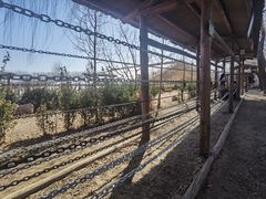 -河北村民俗体验园