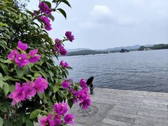 -浙江西子宾馆·牡丹厅