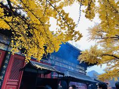 -红螺寺