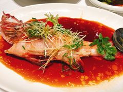 东星斑-金悦轩海鲜酒家(银河店)