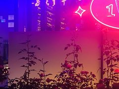 -108·公社·创意餐厅·LIVE HOUSE(李公堤店)