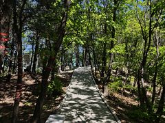 -六里坪国家森林公园