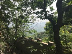 -北京鹫峰国家森林公园
