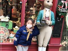-布兰兔的植物庄园(杭州南宋御街店)