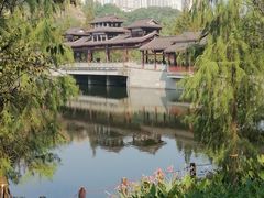 -重庆彩云湖湿地公园