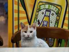 -江天生态园餐厅