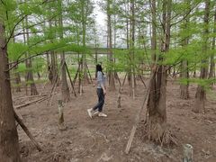 -白鹭湾湿地公园