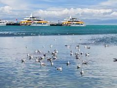 -青海湖国家重点风景名胜区
