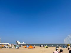 -碧海金沙