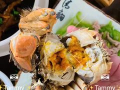 -小六农家乐(崇明西沙湿地店)