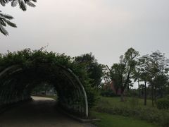 -美的鹭湖森林度假区