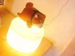 -柴务处·柴犬主题狗咖