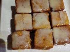 -南枝记