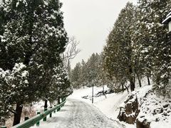 -白水寺森林公园