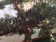 -滇铺子(欣都龙城店)