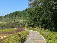 -梅岭月亮湾山体公园