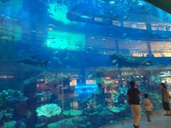 -迪拜帆船酒店海底餐厅