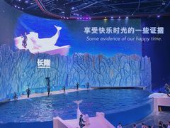 -珠海长隆海洋王国