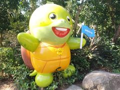 -广东惠东海龟国家级自然保护区