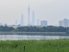 -海珠湖公园