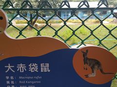 -西安秦岭野生动物园