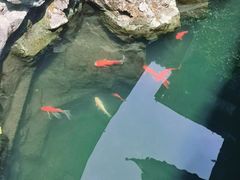 -胡雪岩故居