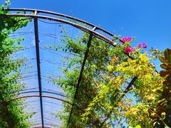 -The Grounds of Alexandria