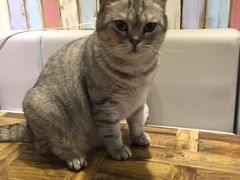 -小时光咖啡馆(开森度假森林店)