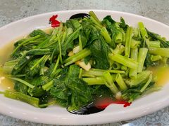 清炒空心菜-潮汕铺老店(甜水井店)