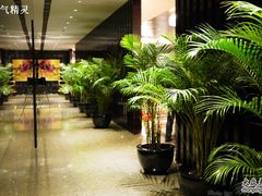 -上海静安洲际酒店